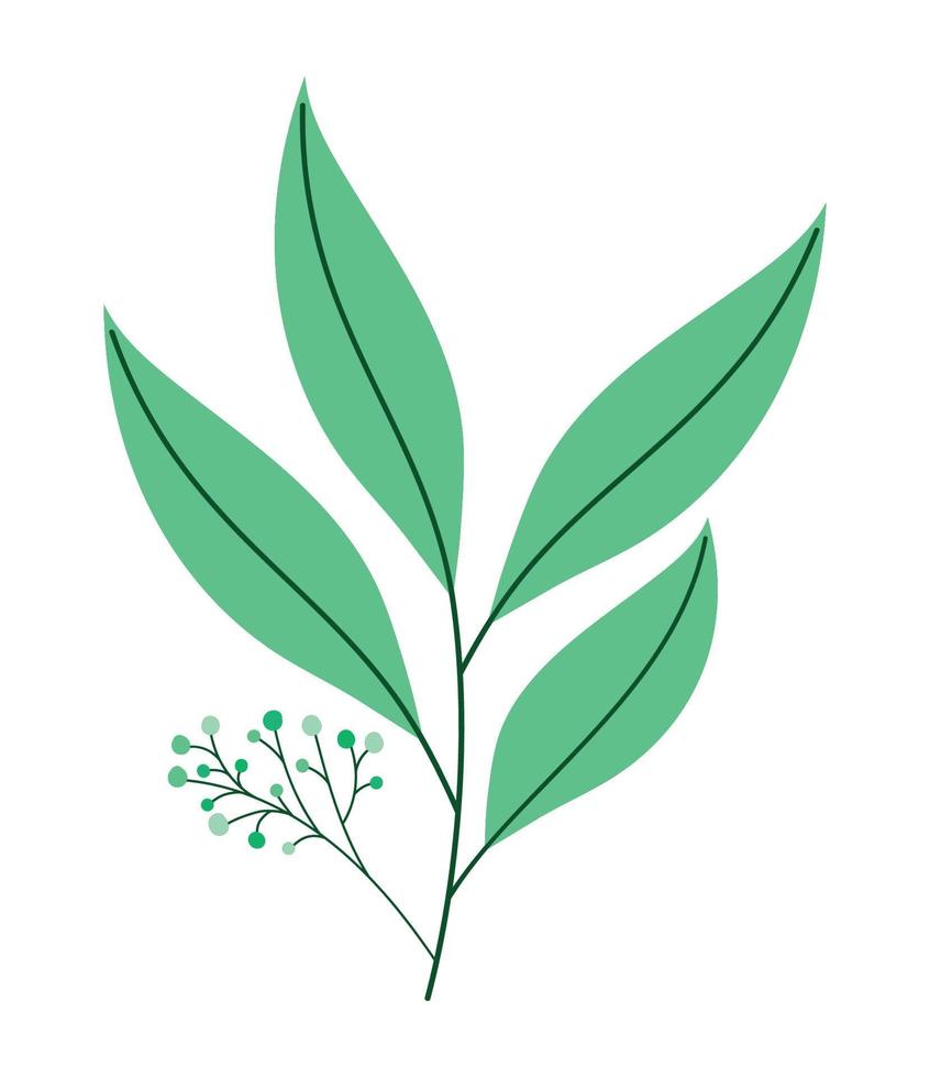 cute branch tree vector