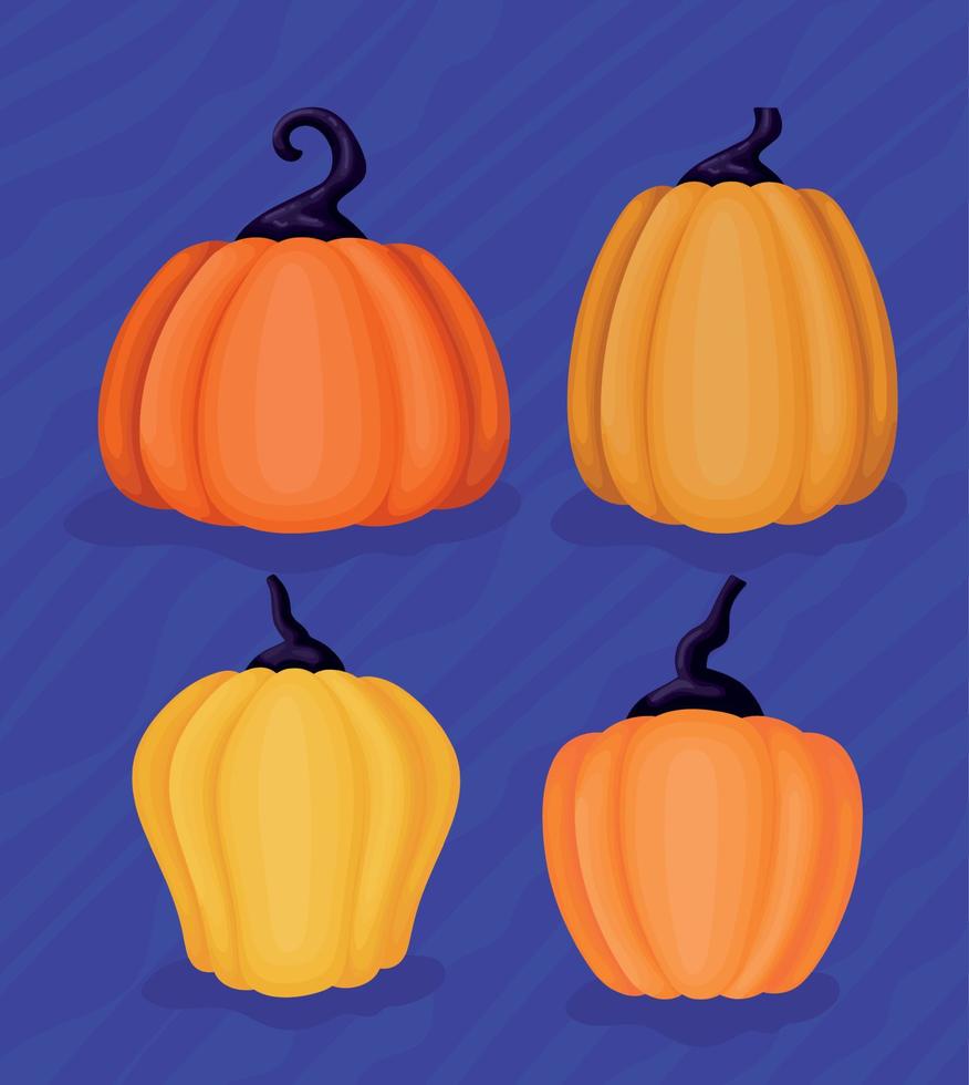 halloween pumpkins set vector