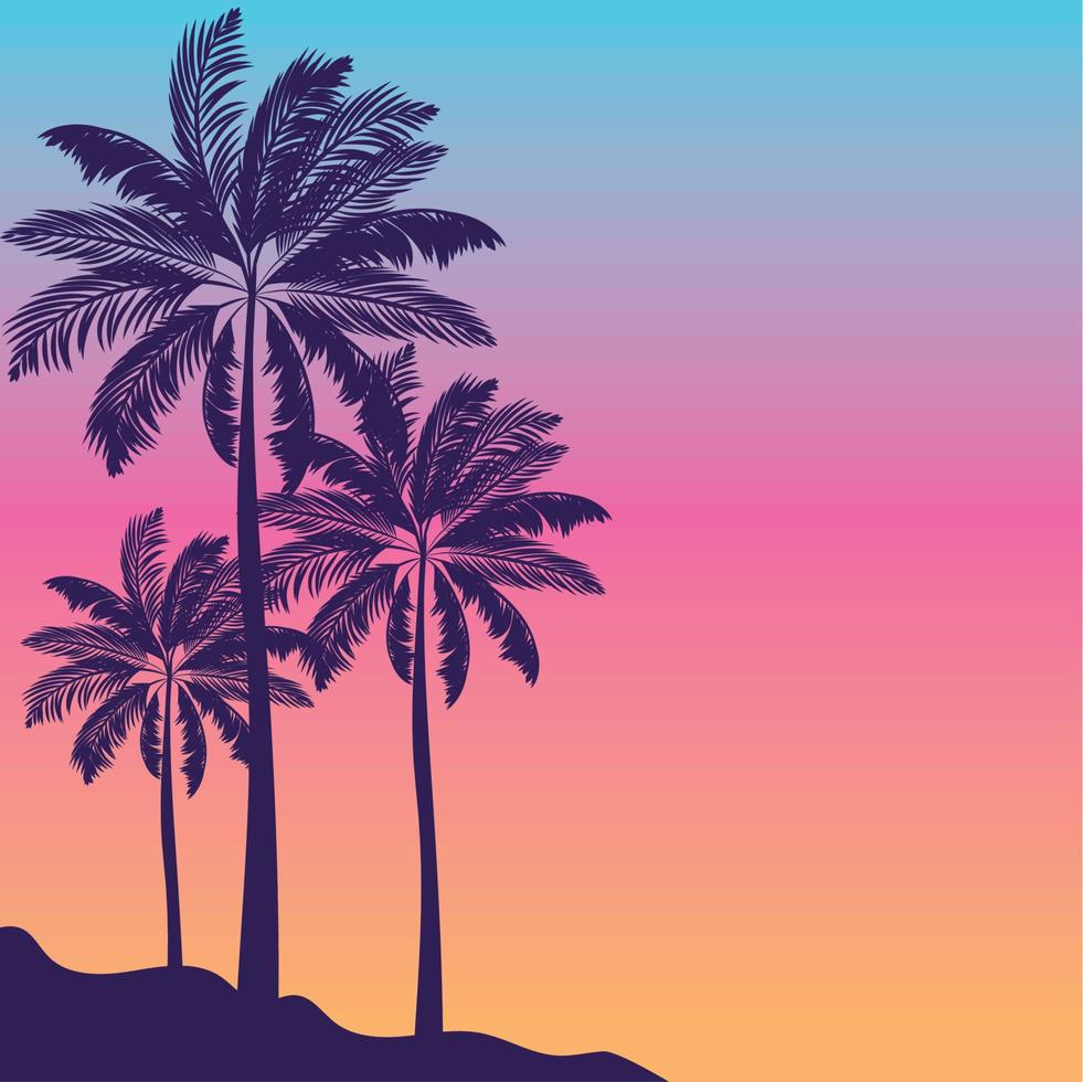 beach sunset illustration vector