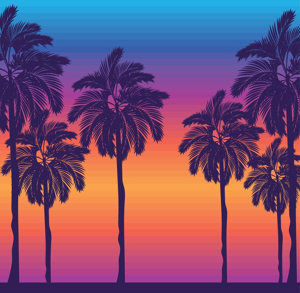 beach sunset design vector