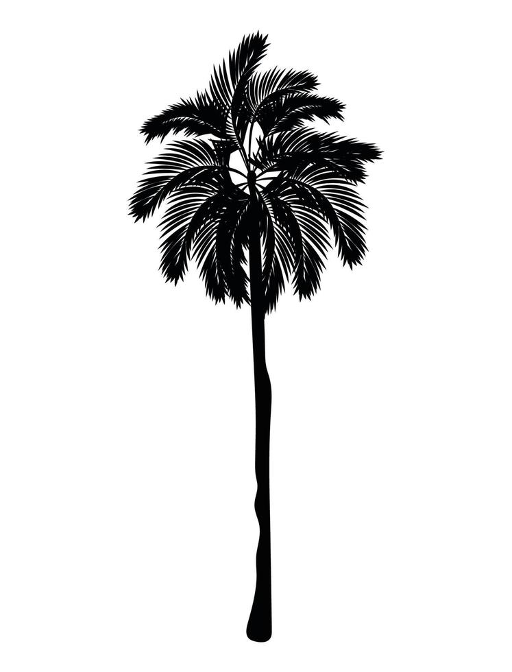 palm silhouette icon vector