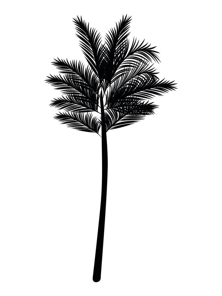 palm silhouette illustration vector