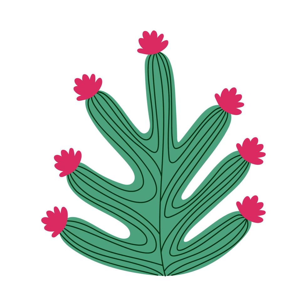 cactus with red flowers vector