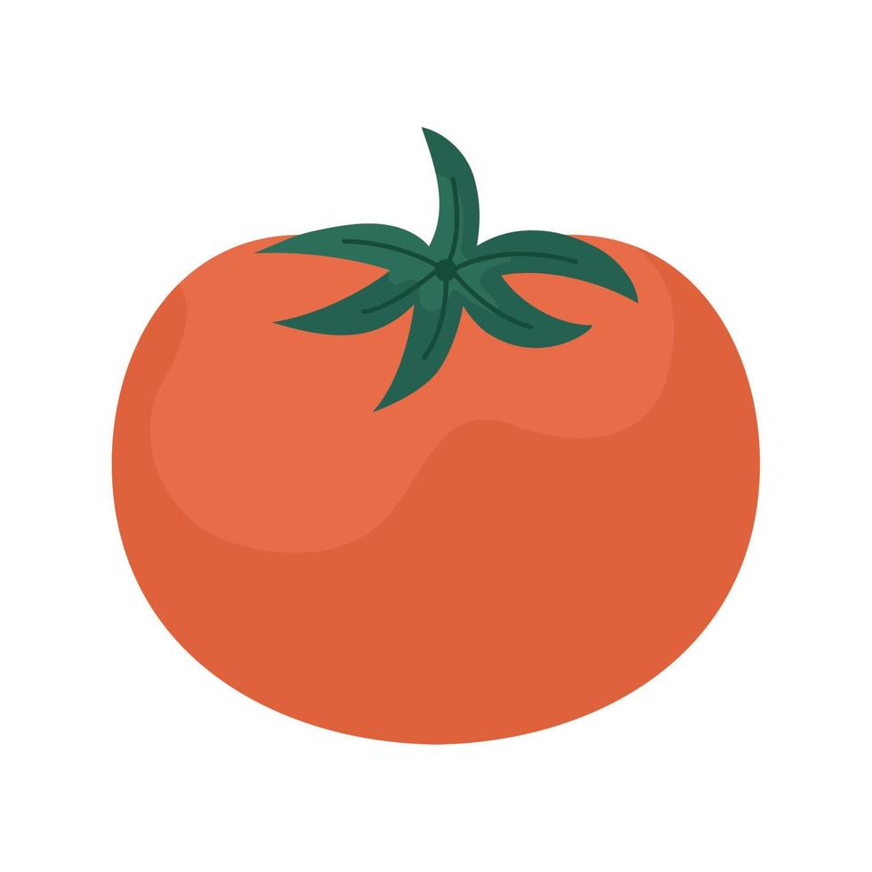 rojo tomate diseño vector