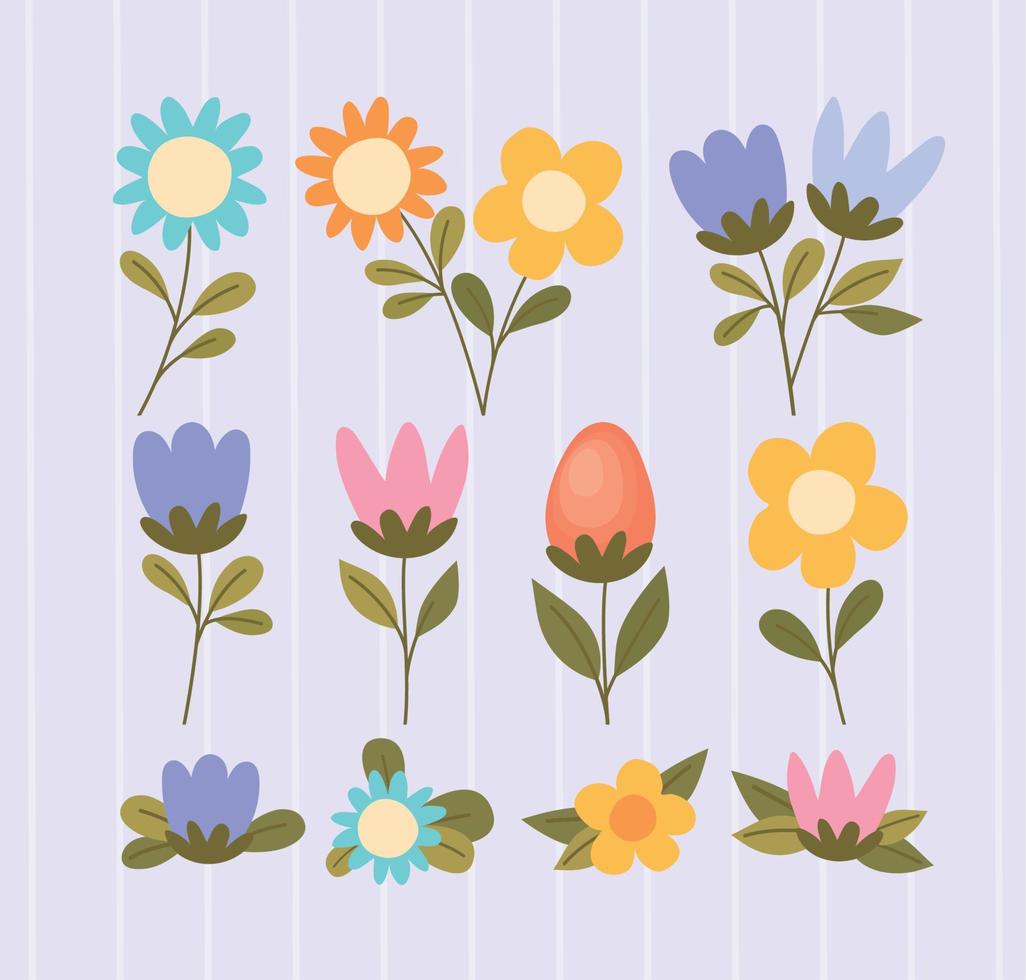 once de colores flores vector