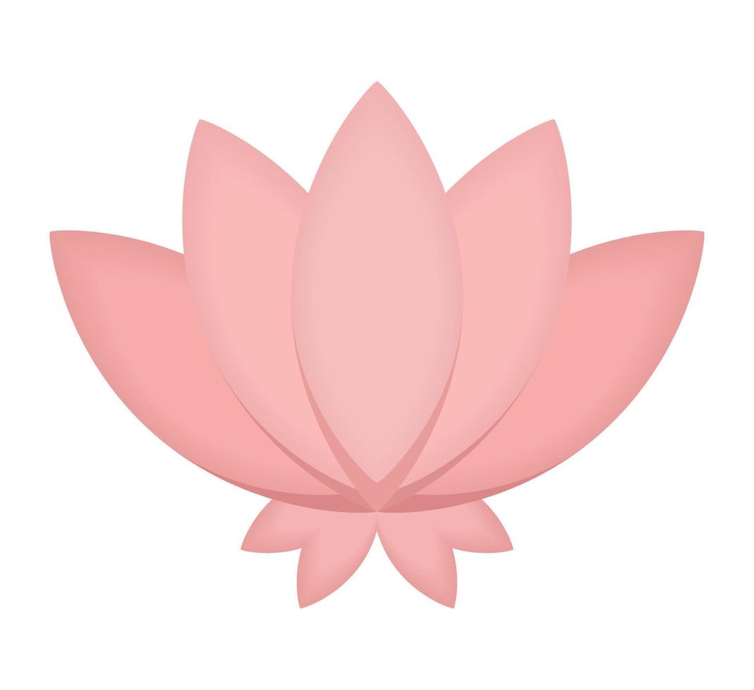 pink lotus flower vector