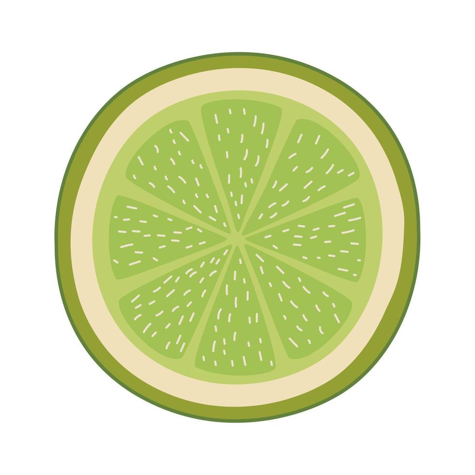 lemon slice design vector