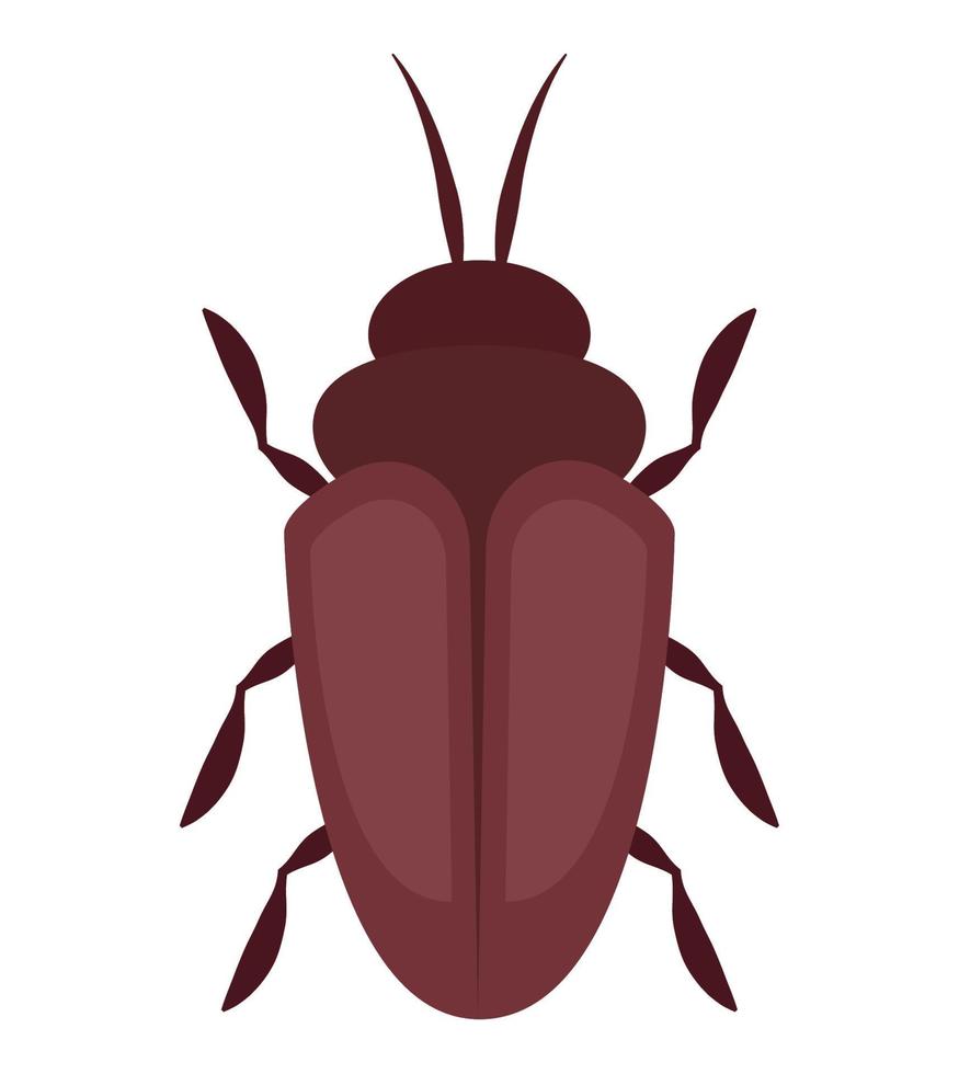 colored cockroach design vector