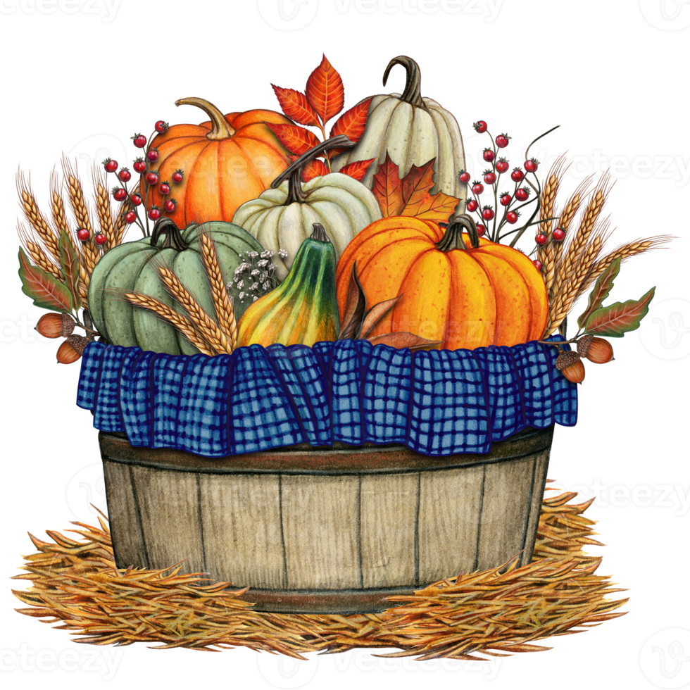 Watercolor harvest pumpkin basket decoration png