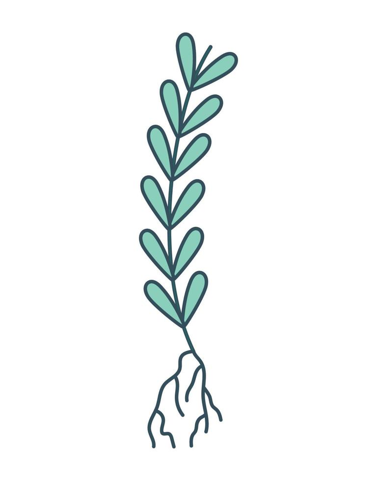 plant branch design vector