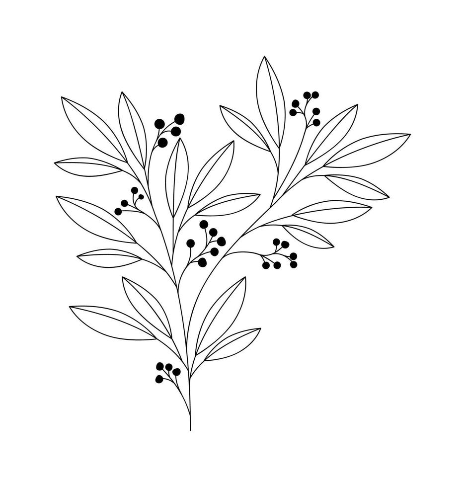 beatiful plant branch vector