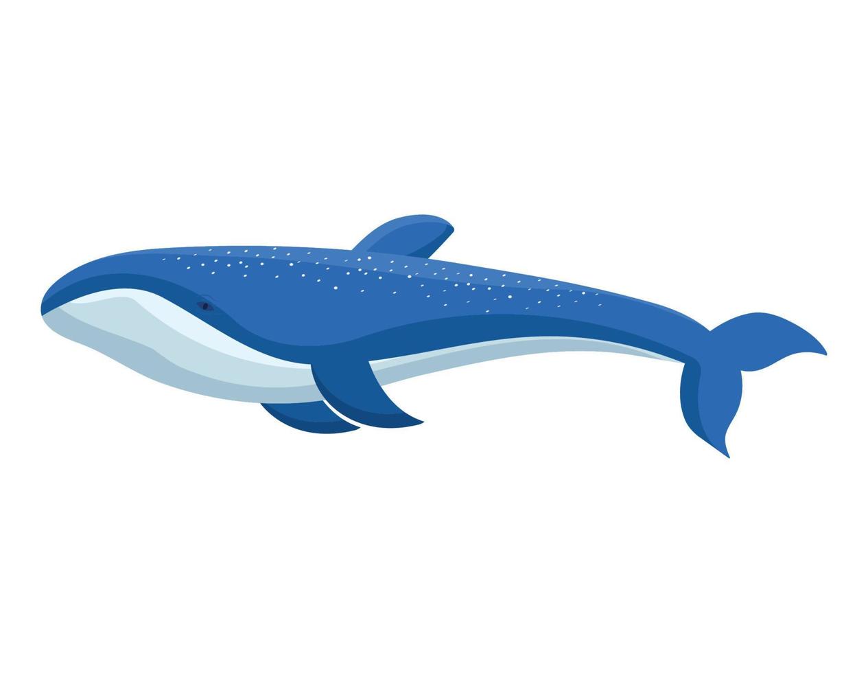 blue whale design vector