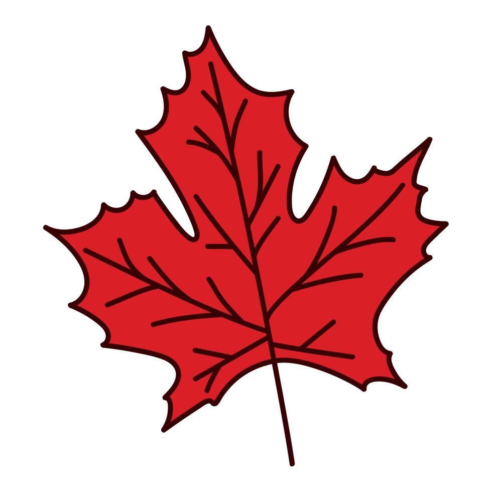 bright maple leaf vector