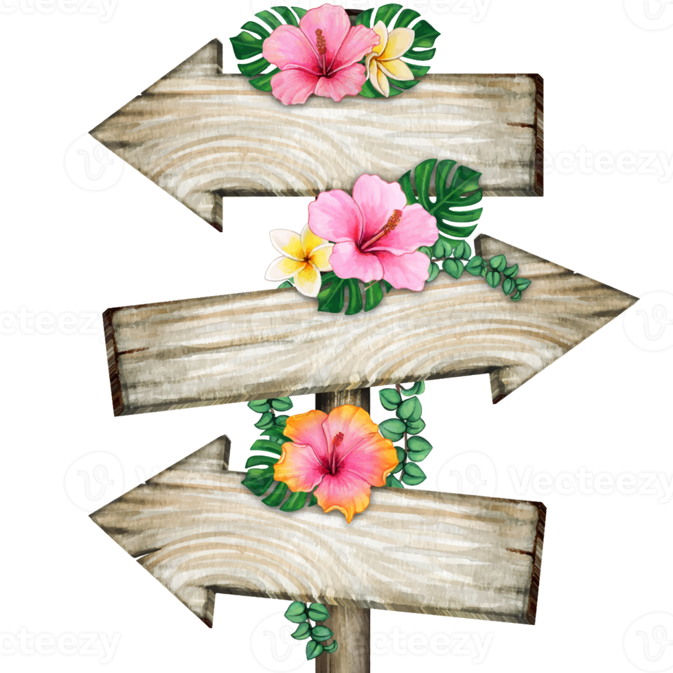 Watercolor wooden arrows with hibiscus flowers and frangipani png