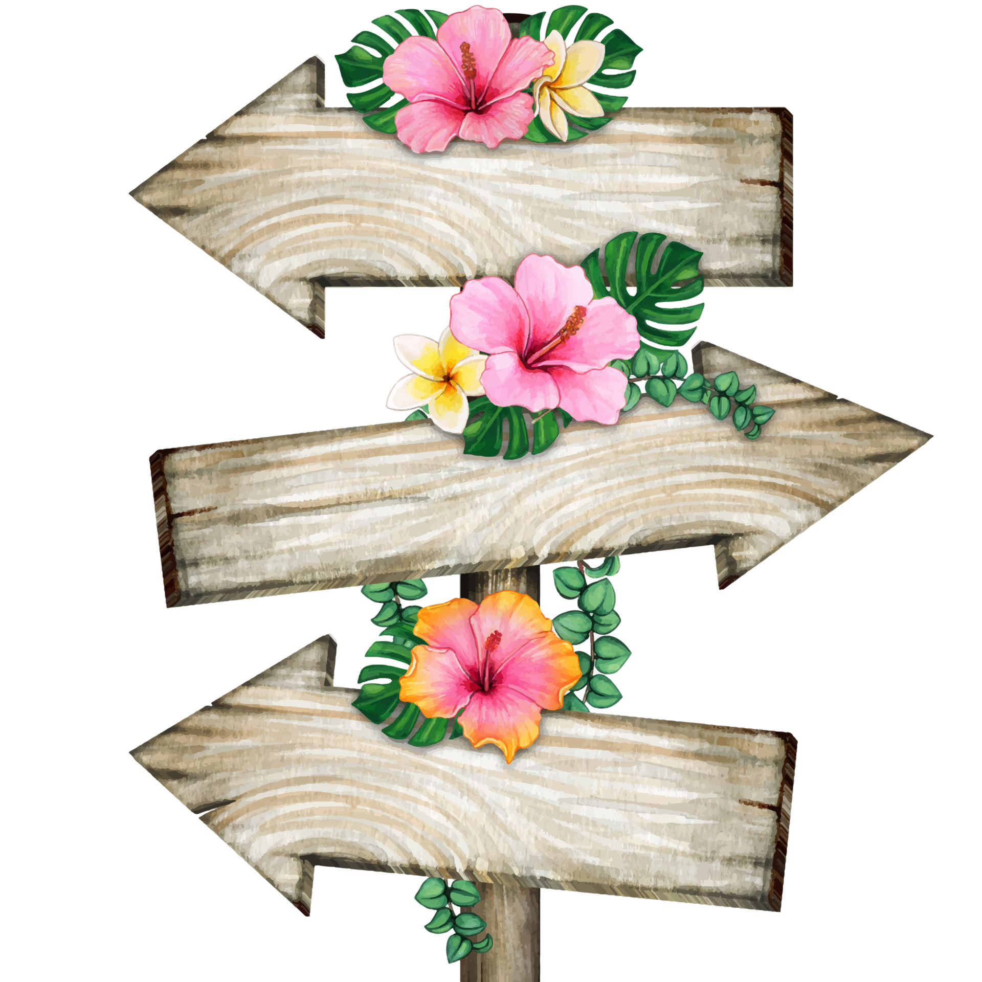 Watercolor Wooden Arrows With Hibiscus Flowers And Frangipani 21381318 PNG Watercolor Wooden Arrows With Hibiscus Flowers And Frangipani 21381318 PNG