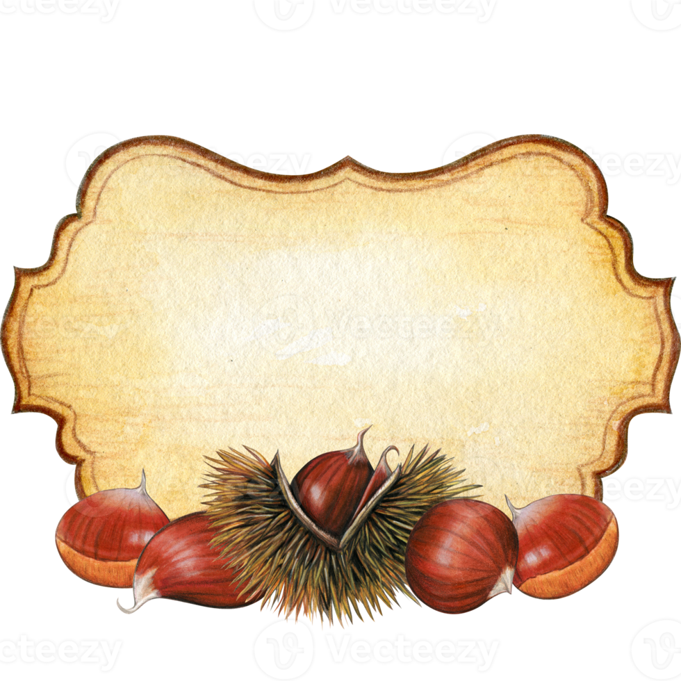 acquerello mano disegnato realistico castagne Vintage ▾ etichetta png