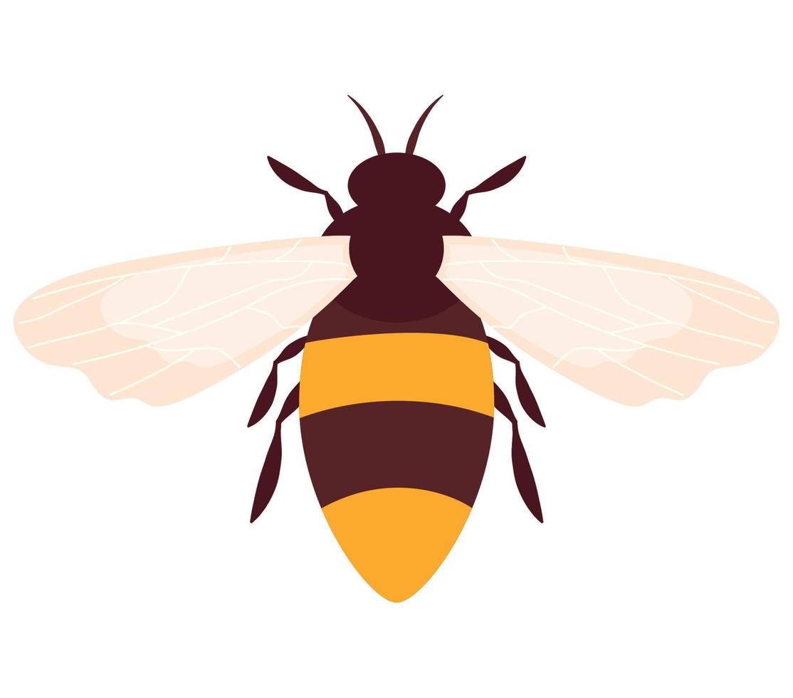 colored bee design vector