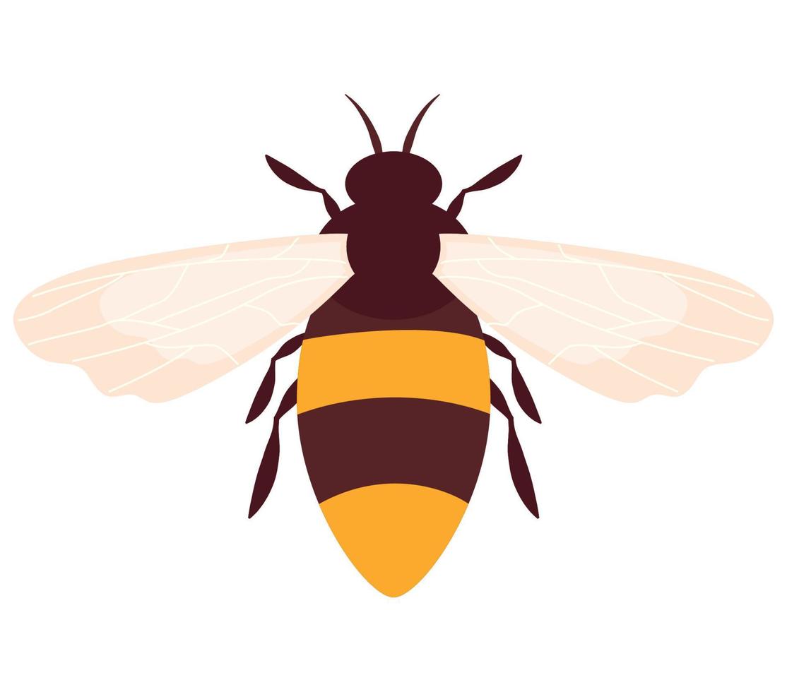 diseño de abejas de colores vector