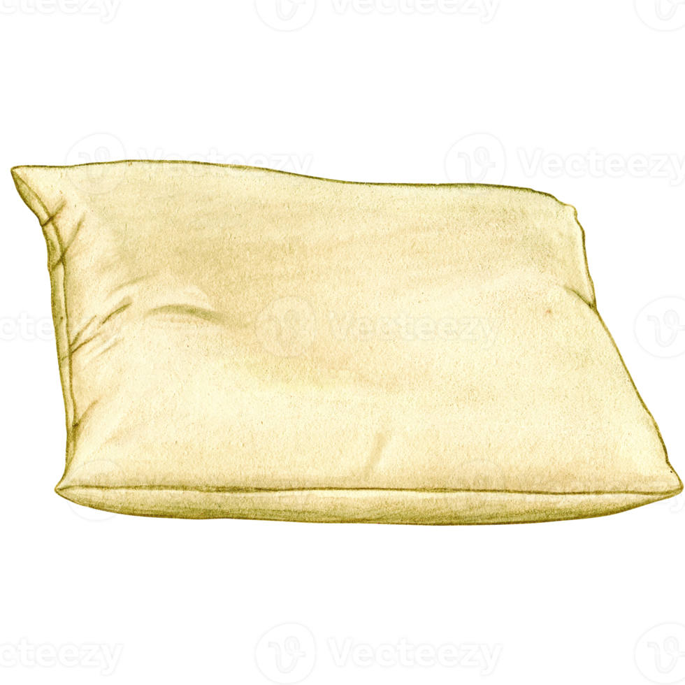 watercolor hand drawn cushion png