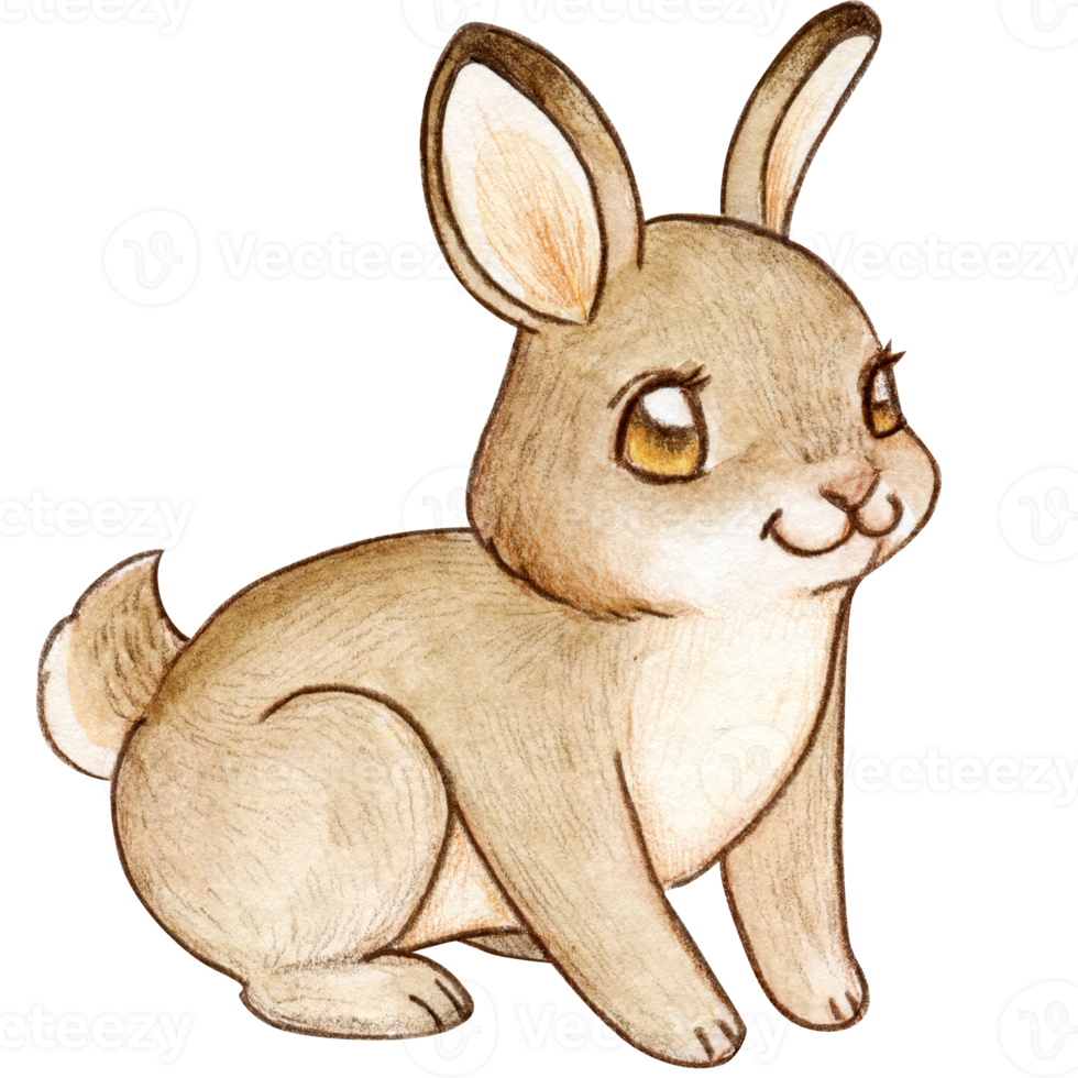 Watercolor cute cartoon hare png