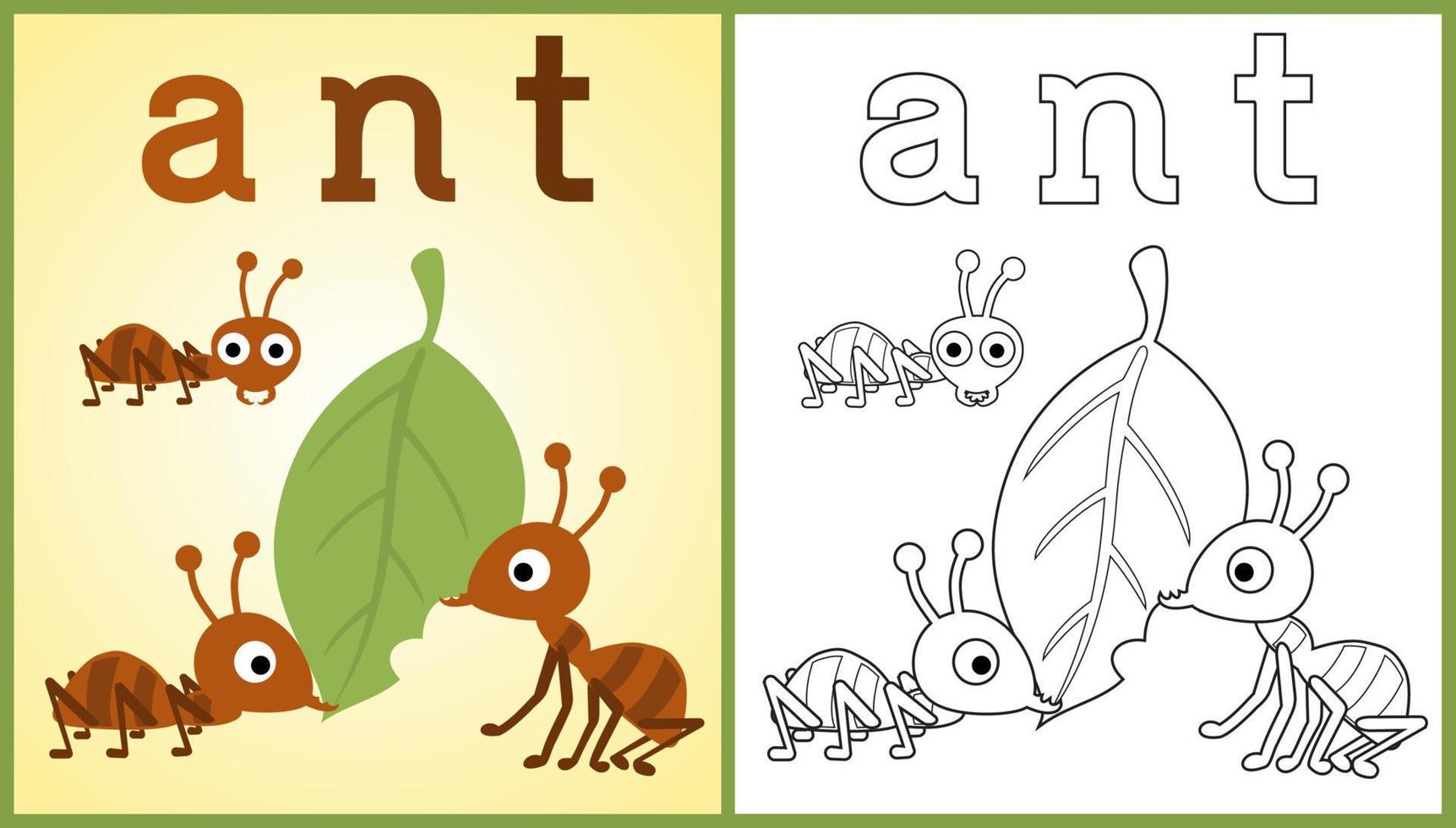 vector cartoon of working ants carrying leaf, coloring book or page