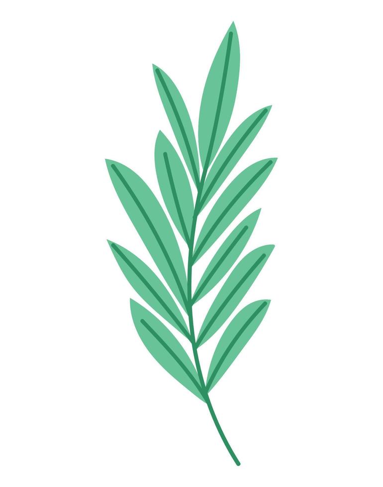 green leaves on a stem vector