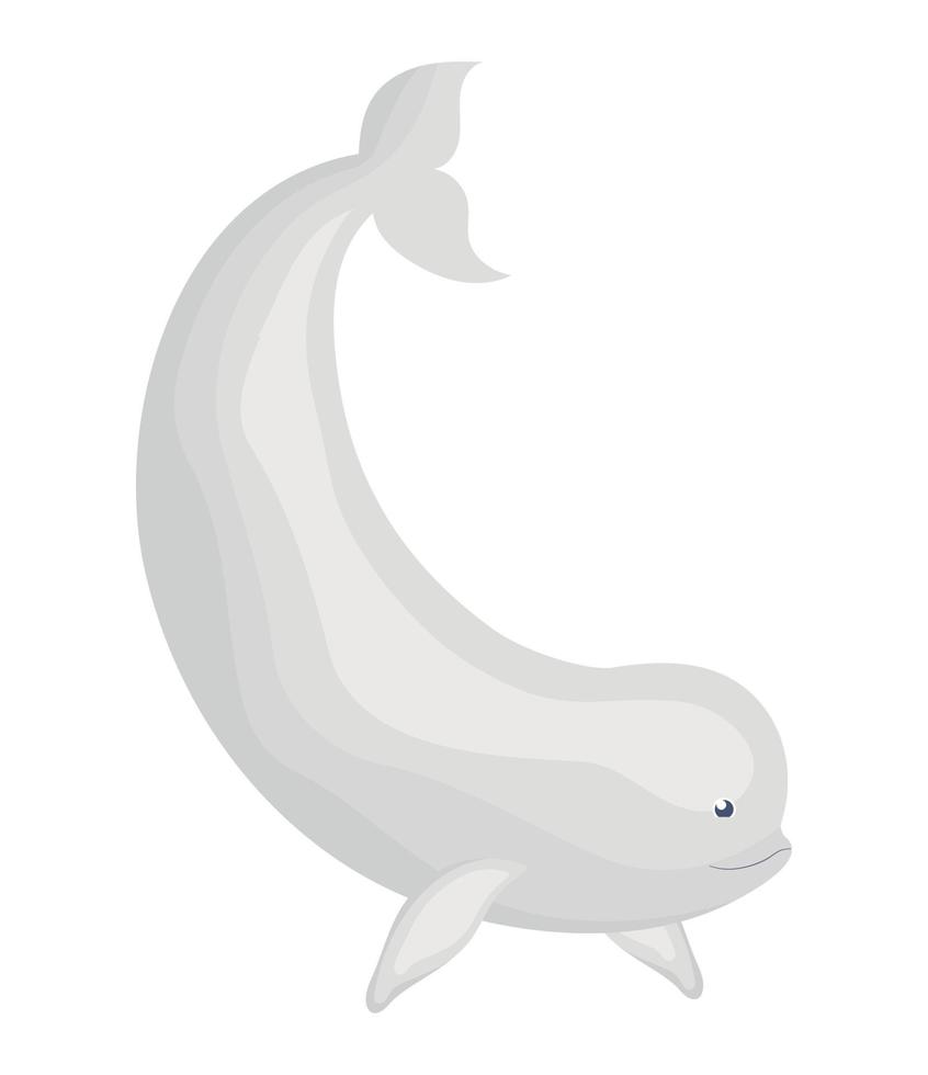 cute beluga design vector