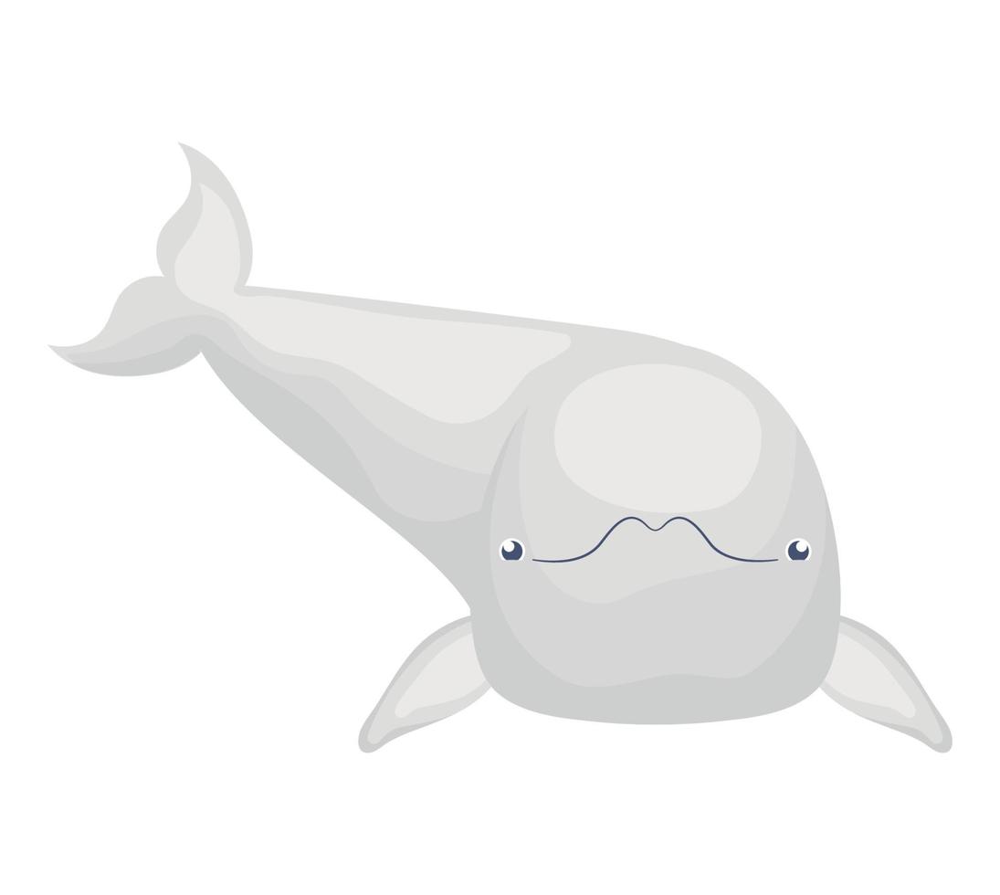 colored beluga icon vector
