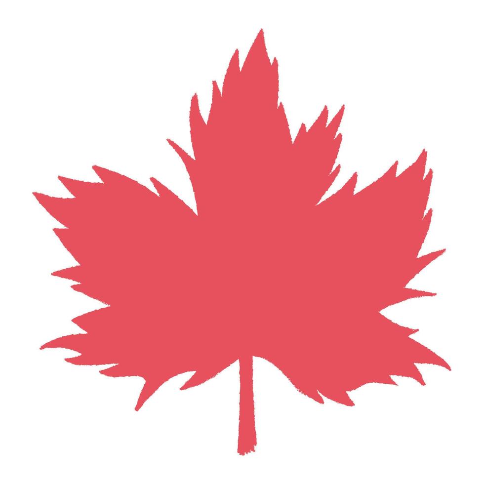 red maple leaf design vector