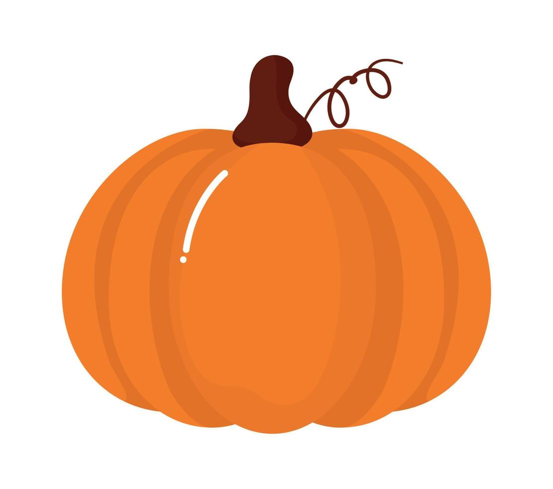 grande calabaza diseño vector