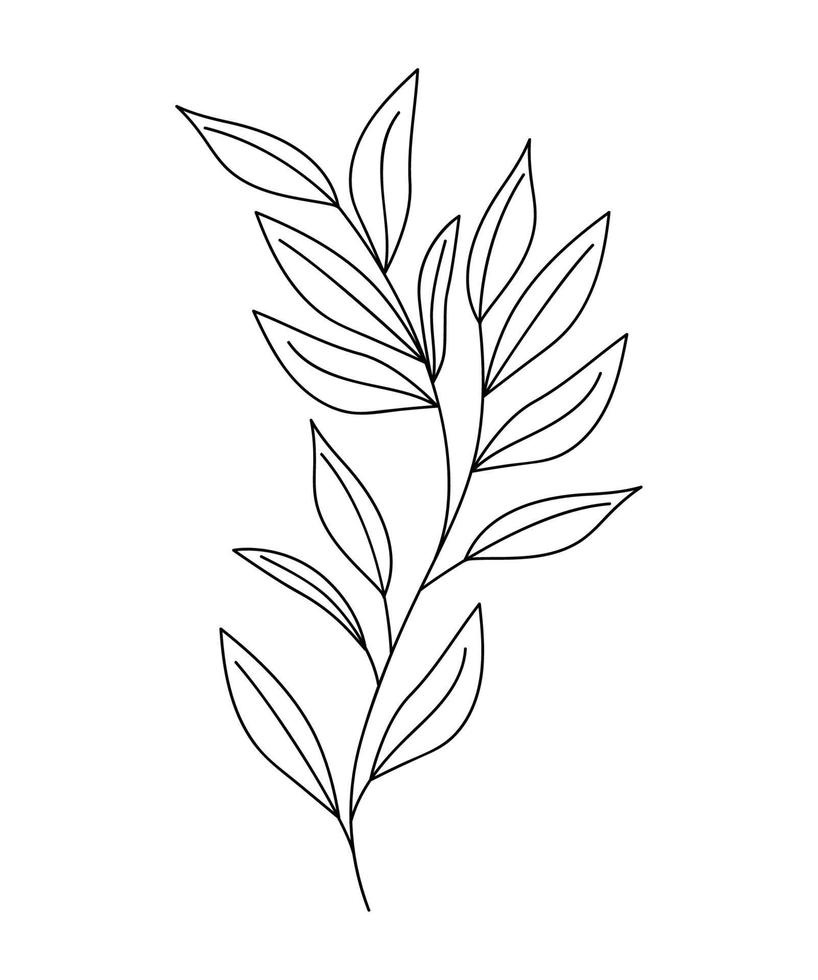 beatiful classical branch vector