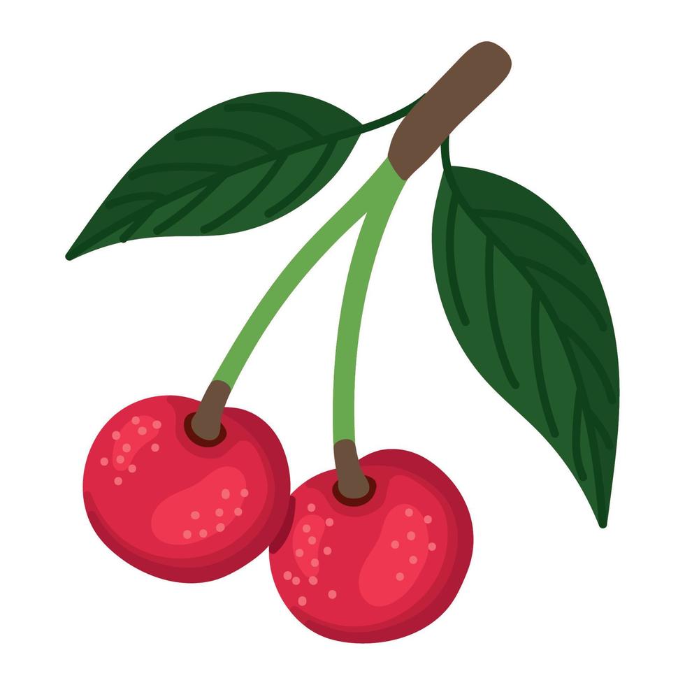 cherry fruit design vector
