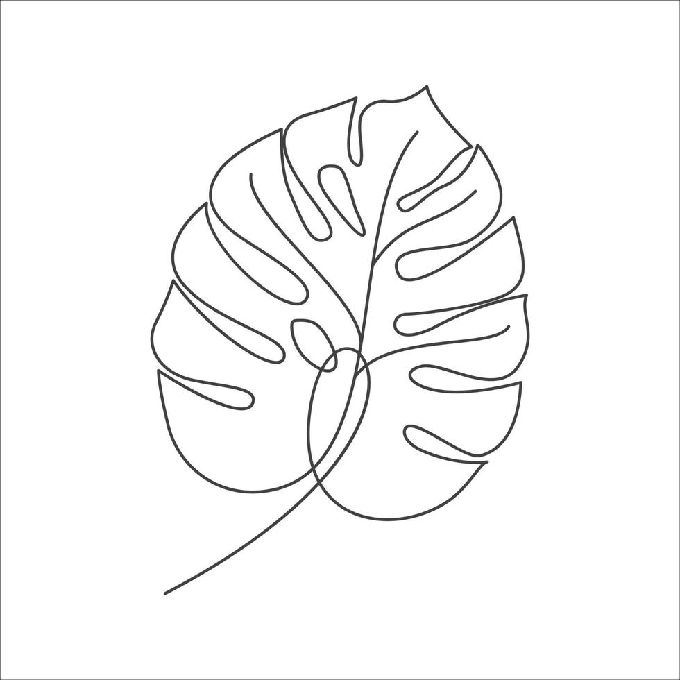 Monstera delicosa plant leaf in linear drawing icon. Monstera linear icon. Monstera leaf line art. Vector illustration