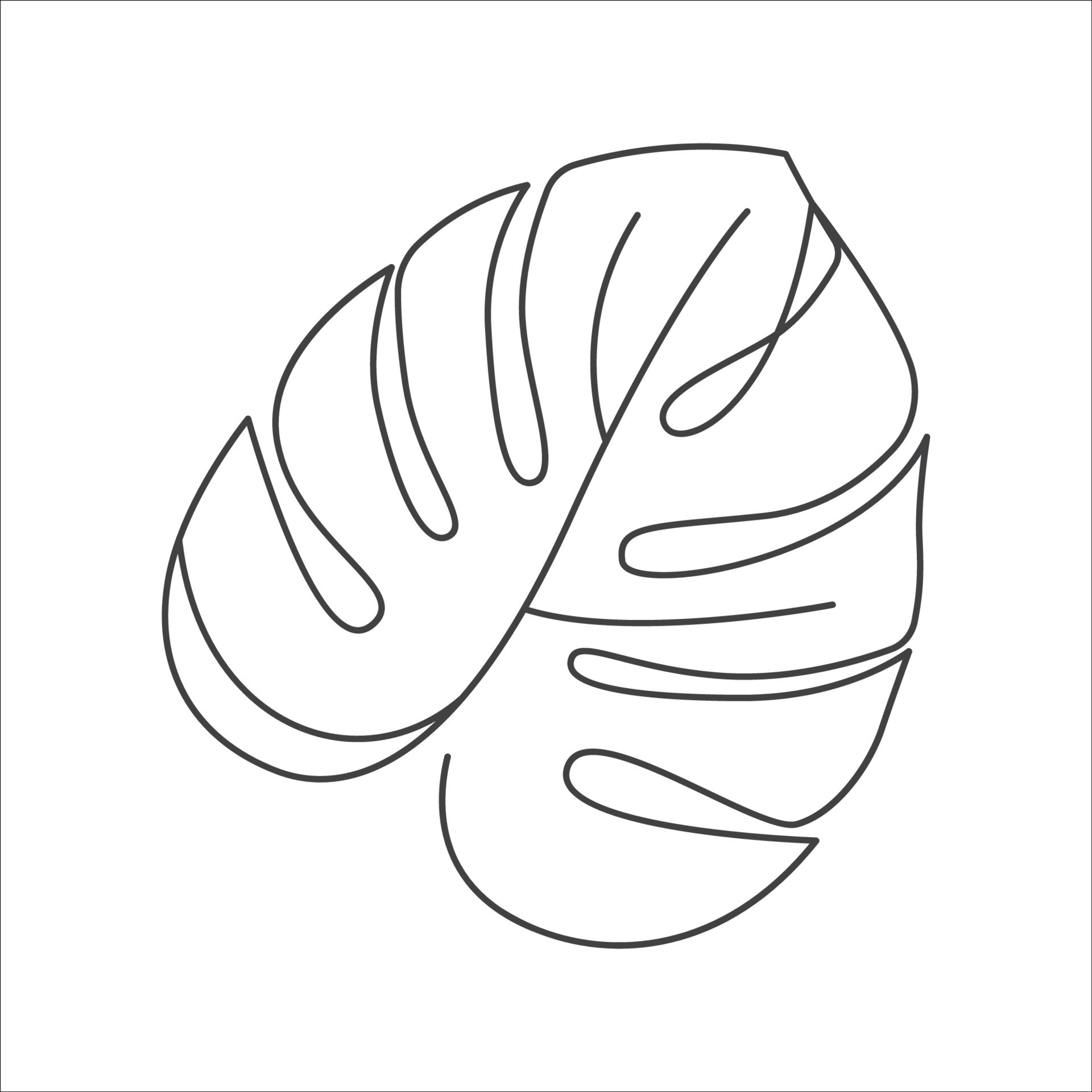 Monstera delicosa plant leaf in linear drawing icon. Monstera linear ...