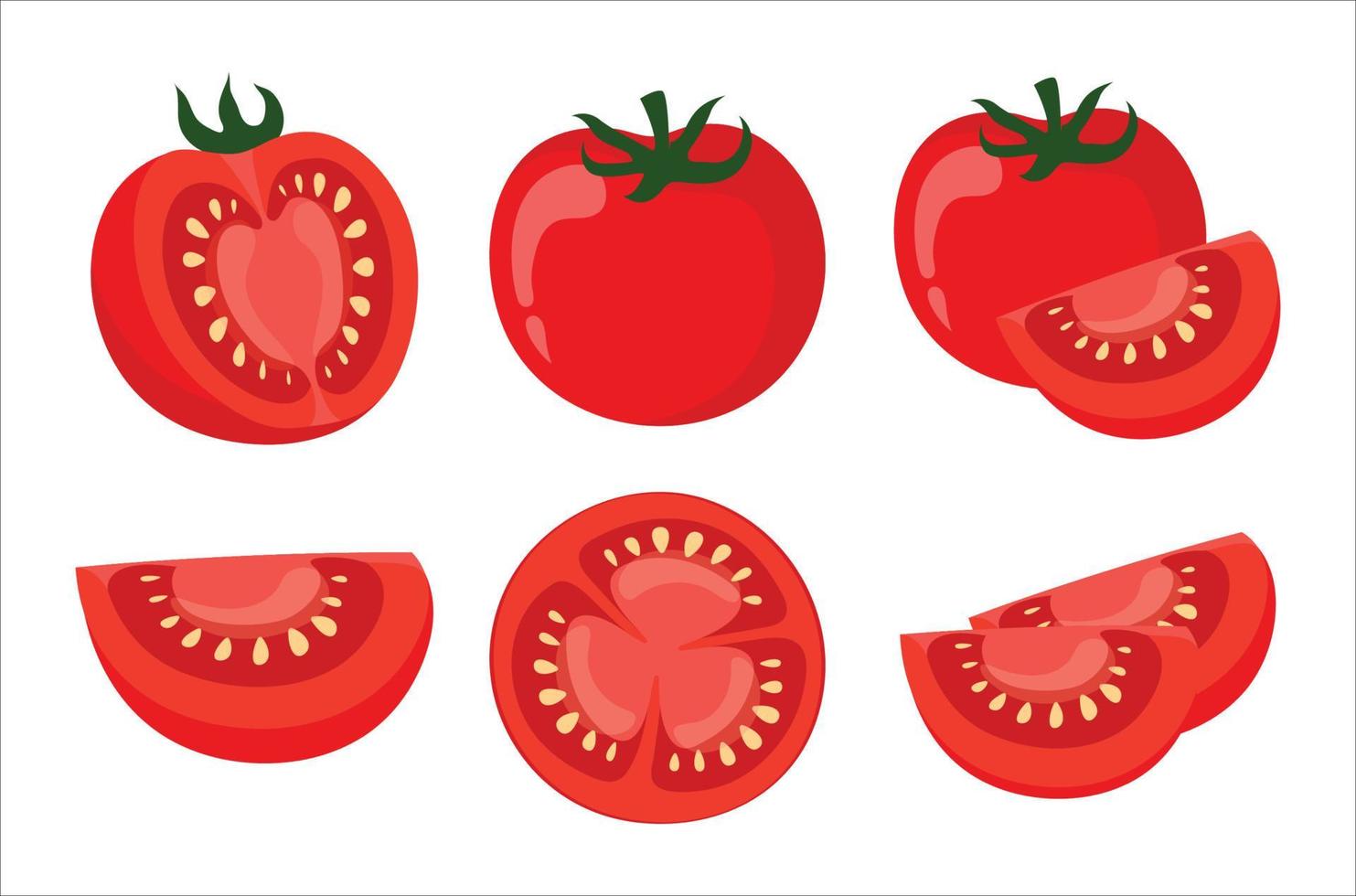 Tomato icon vector illustrations. Fresh and ripe tomato set. Half a tomato, a slice of tomato, whole tomato icon set. Vector illustration