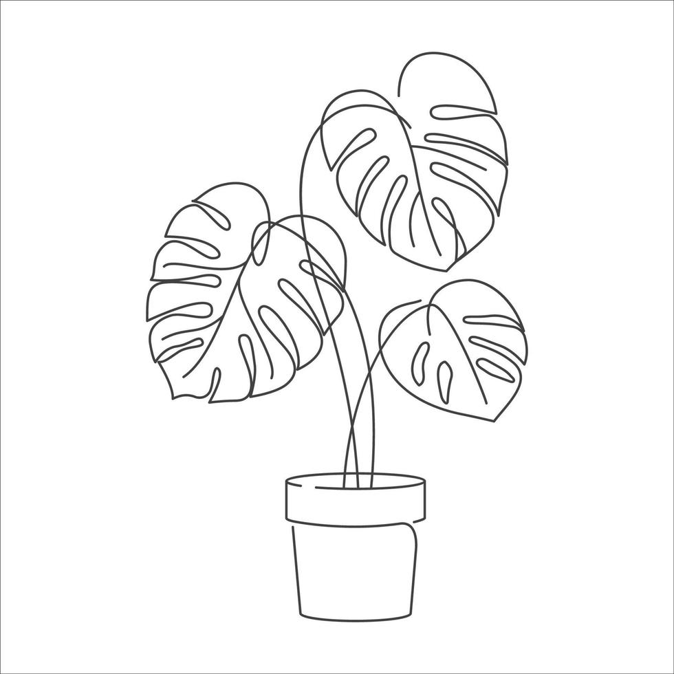 Monstera delicosa plant leaves in linear drawing icon. Monstera plant in a pot linear icon. Monstera leaves line art. Vector illustration