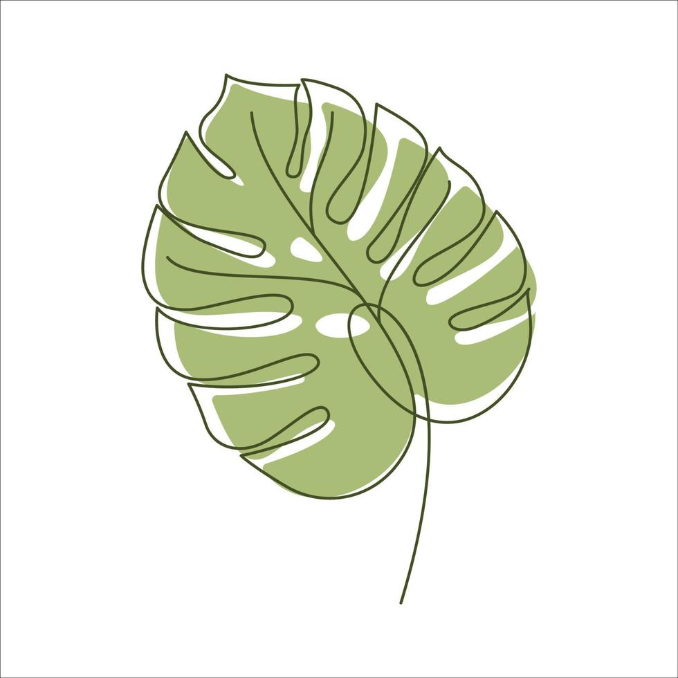 Monstera delicosa plant leaf in linear drawing icon. Monstera linear icon. Monstera leaf line art. Vector illustration