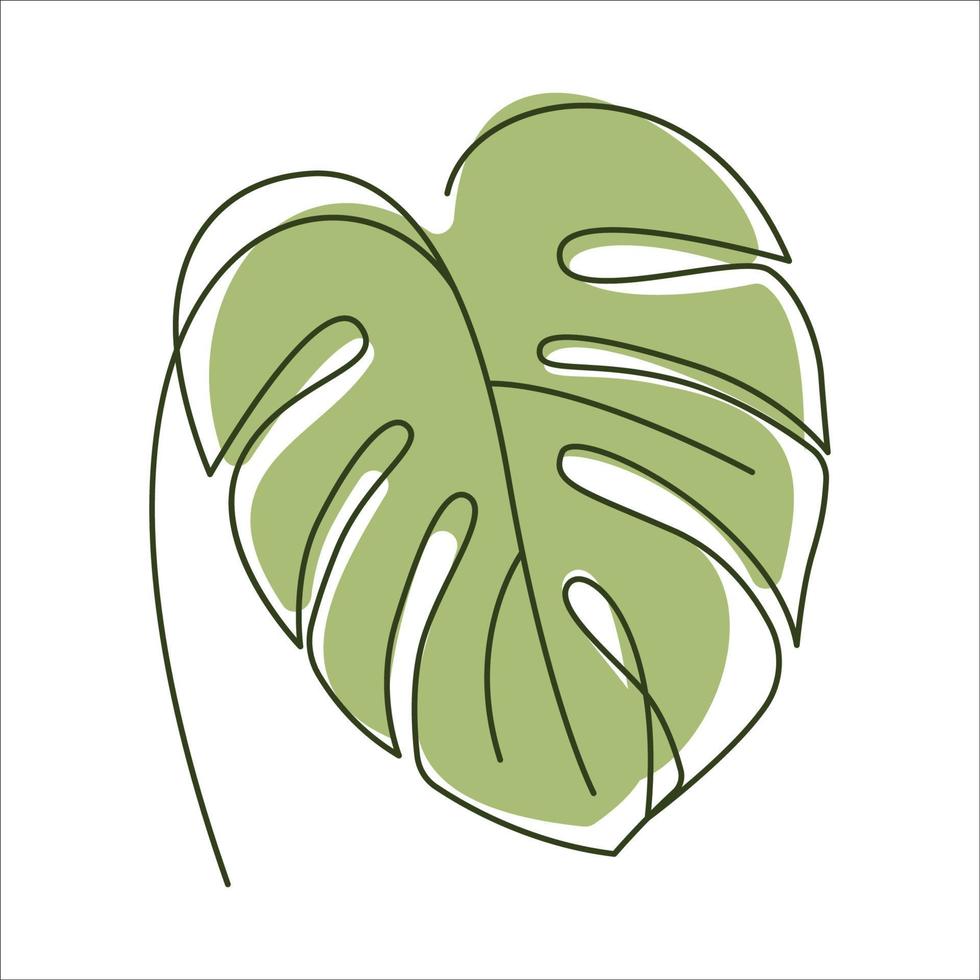 Monstera delicosa plant leaf in linear drawing icon. Monstera linear icon. Monstera leaf line art. Vector illustration