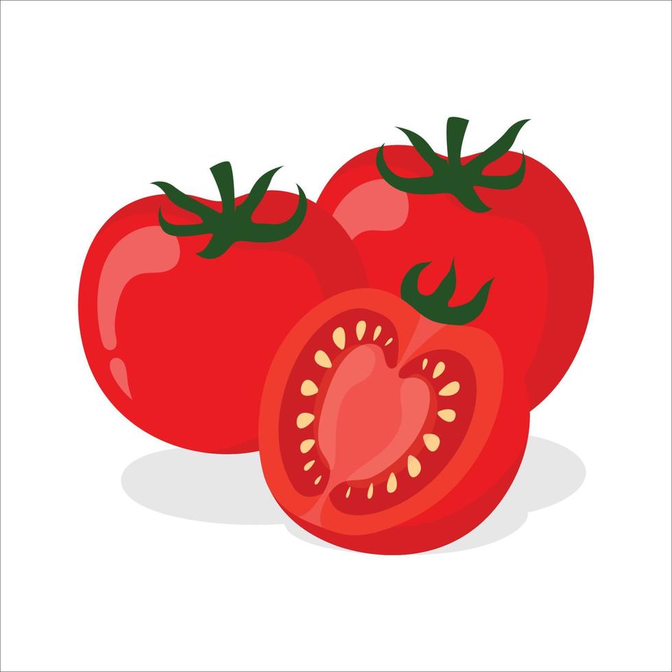 Tomato Vegetables icon. Tomatos whole fruit and half vector icon. Tomatos isolated on white background. Vector illustration