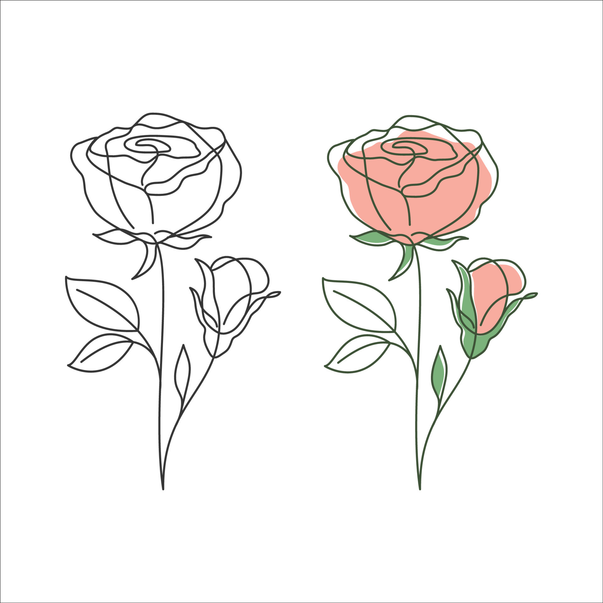 Rose flower linear drawing. Decorative beautiful rose flower with thin