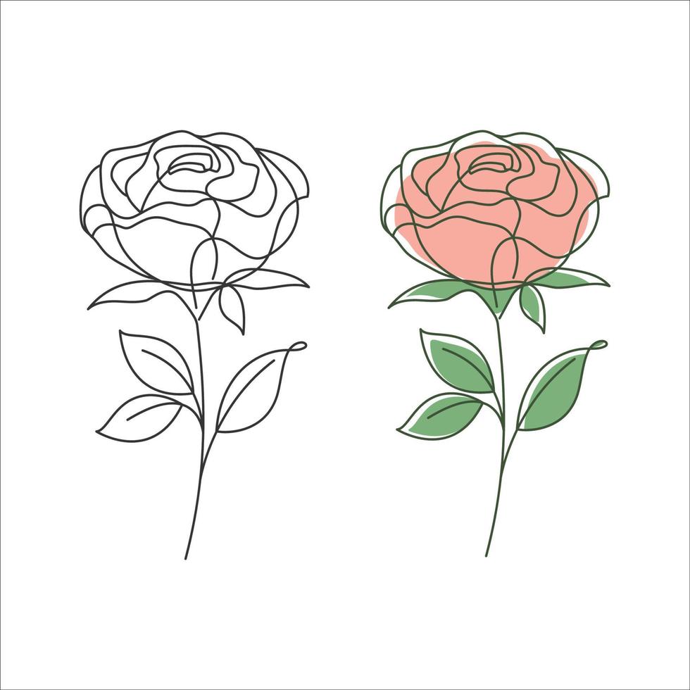 Rose flower linear drawing. Decorative beautiful rose flower with thin line. Minimalist rose illustration. Vector illustration