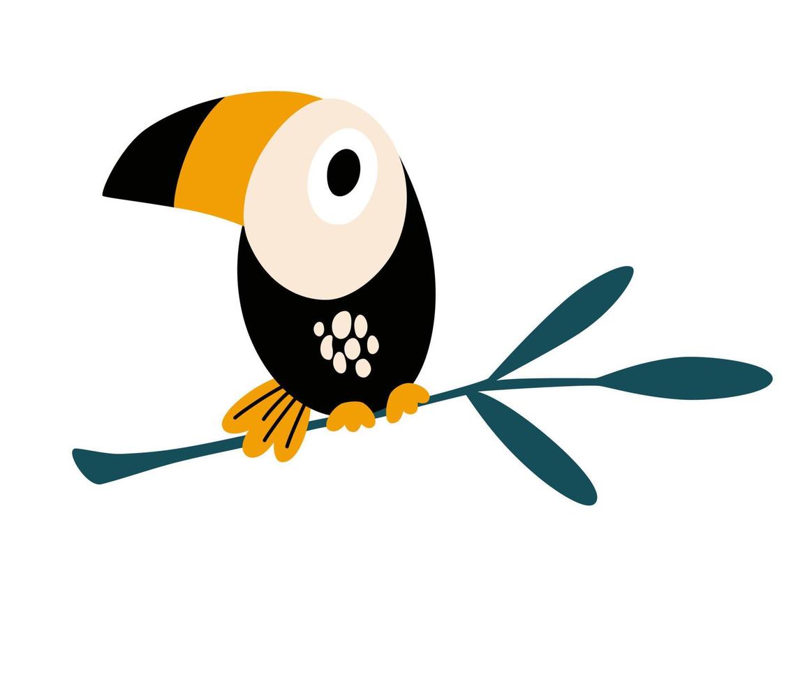 Toucan. Bird cartoon character. Wild animal illustration for zoo ad, nature concept, children book illustrating. Cute toucan flat vector isolated on white. South America fauna.
