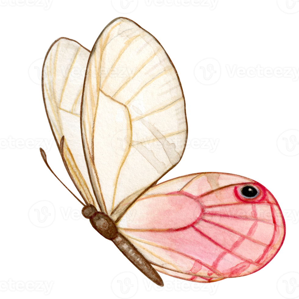 waterverf hand- getrokken vlinder png