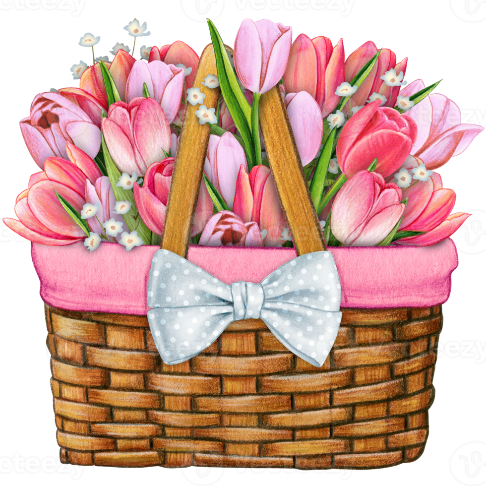 aquarelle panier avec floral bouquet png