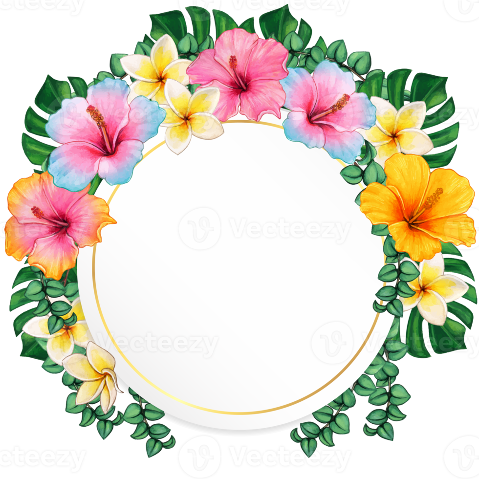 watercolor tropical summer frame png