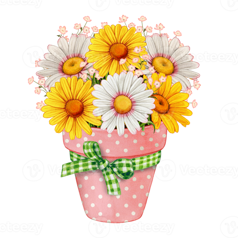 Watercolor spring flower pot of colorful daisies png