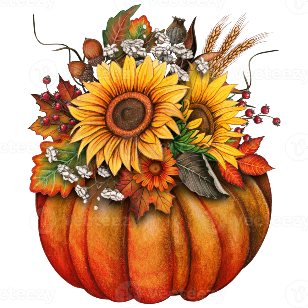 acuarela otoño composición con calabaza, girasoles, seco hierbas png