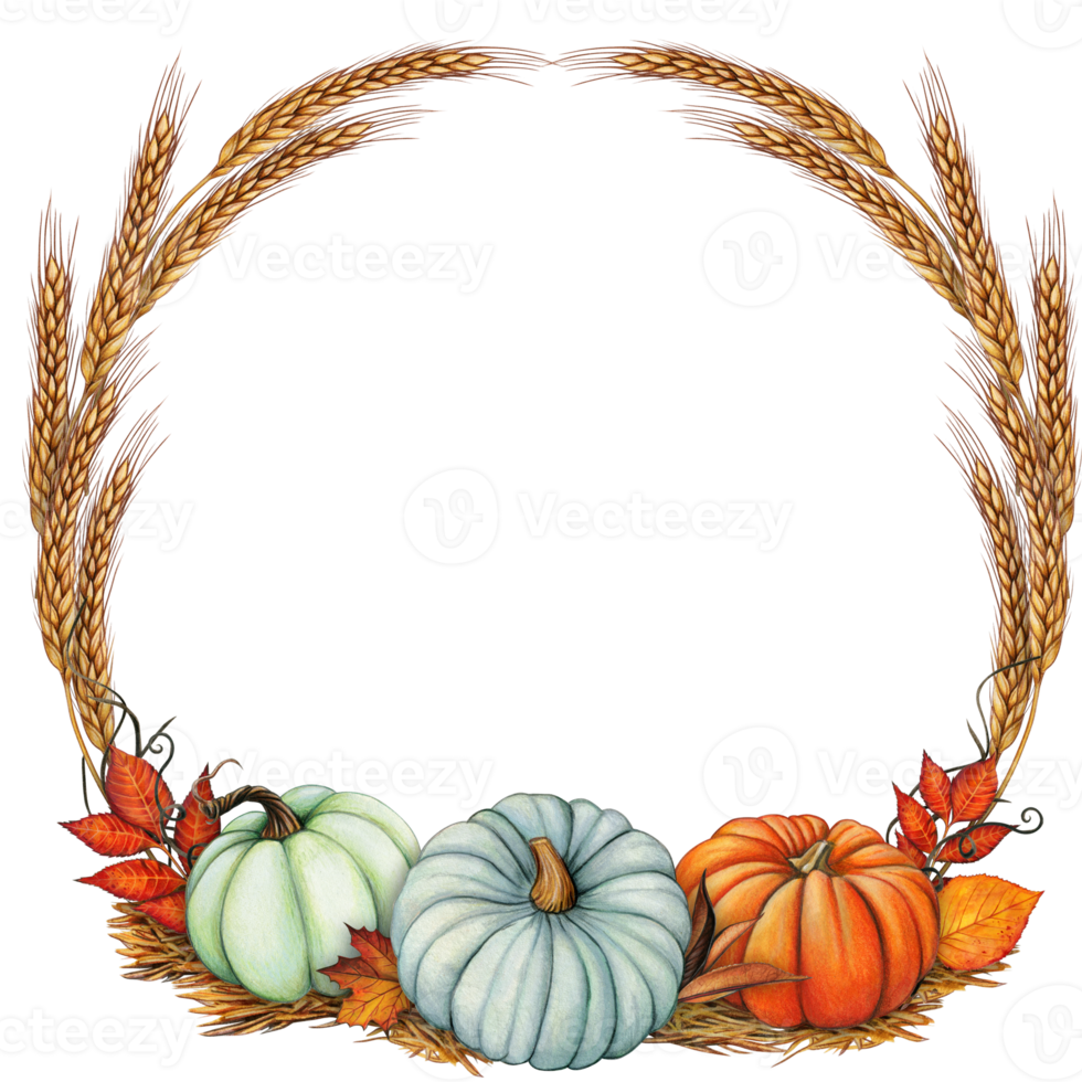 watercolor fall wreath with ears of wheat, pumpkins and autumn leaves png