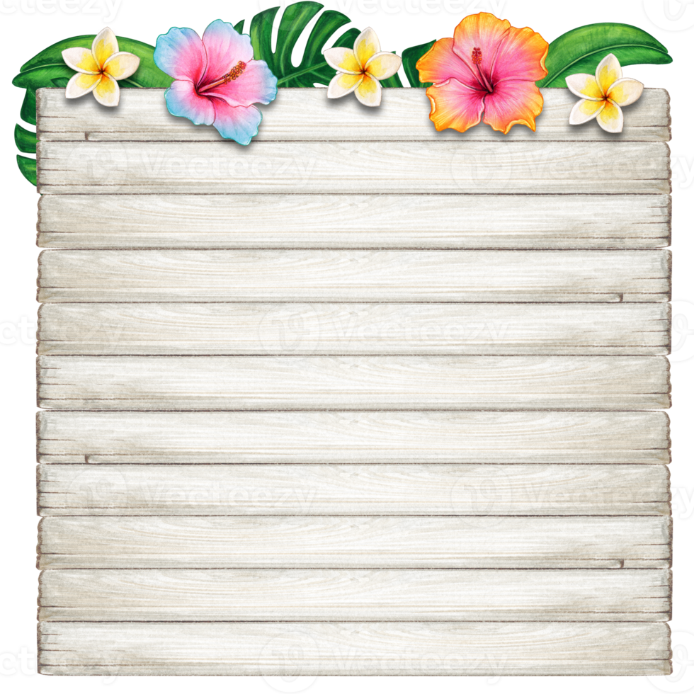 watercolor tropical summer frame png