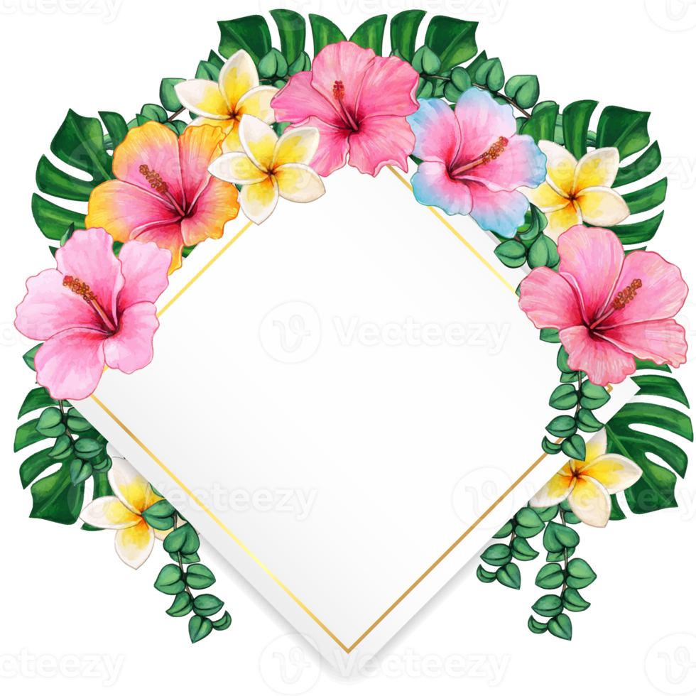 watercolor tropical summer frame png